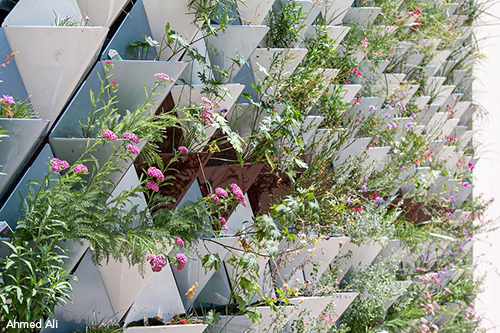 Modular Living Wall Planter System